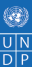 undp logo